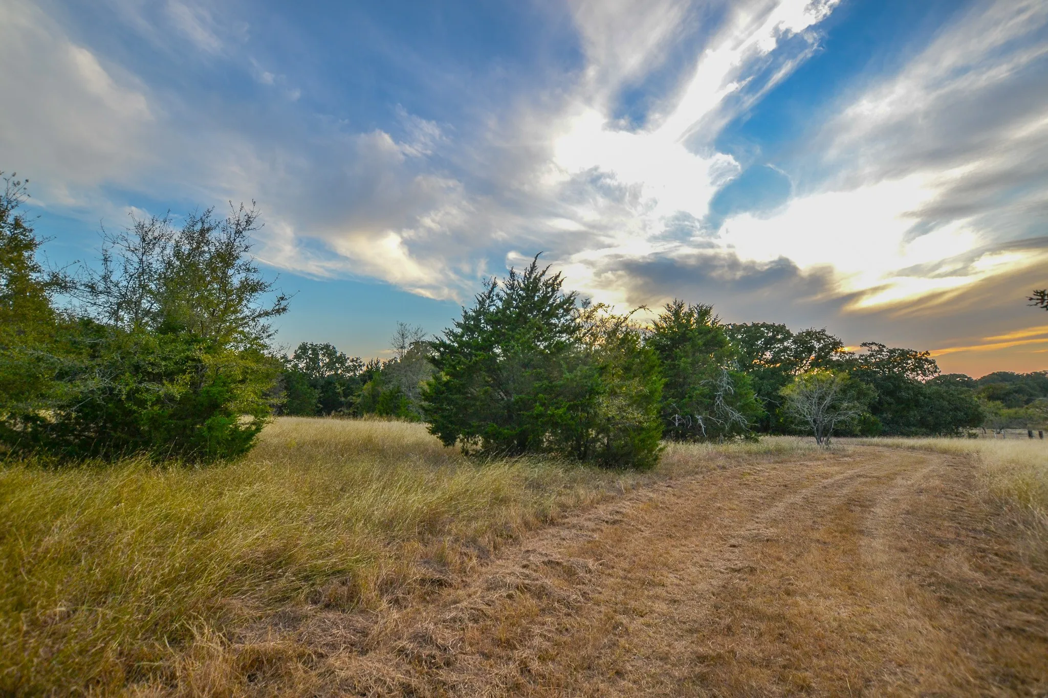 Ranch For Sale in Navarro County , 0 NE 3130, Kerens, Texas 75144, 0, 0, Garage spaces, 0 Sqft, built in 0, Price $885,500, mls#21097043, Real Estate Agent in Kerens, Homes For Sale in Navarro county, Homes For Sale in Kerens, Realtor in Kerens Texas, Real Estate Brokerage Independent Realty Texas, Luminita Cordes Realtor