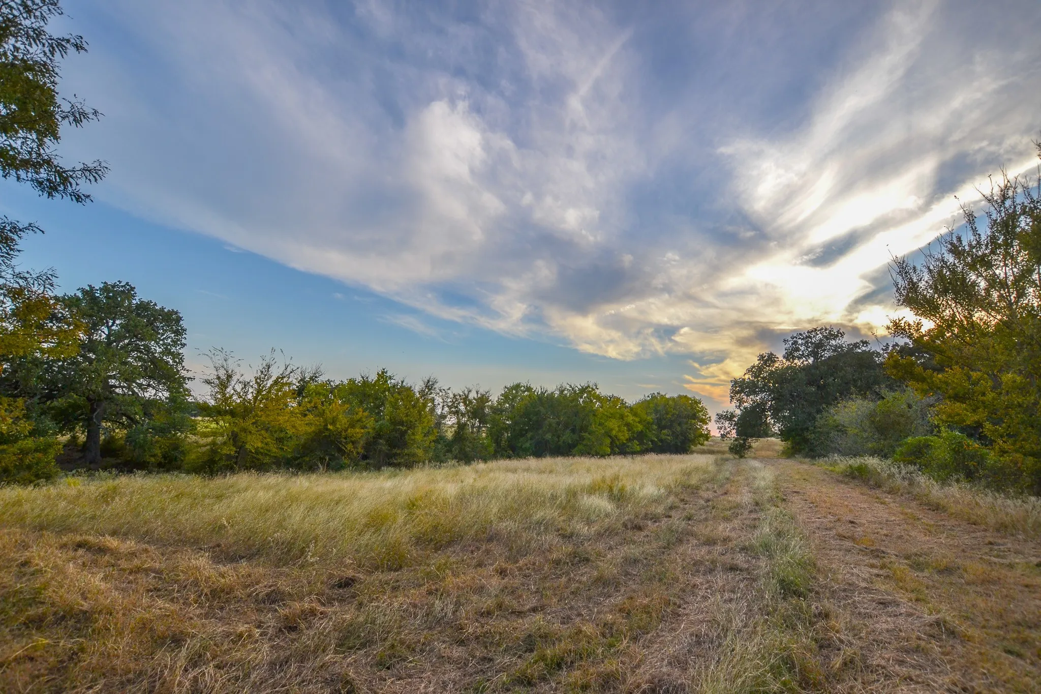 Ranch For Sale in Navarro County , 0 NE 3130, Kerens, Texas 75144, 0, 0, Garage spaces, 0 Sqft, built in 0, Price $885,500, mls#21097043, Real Estate Agent in Kerens, Homes For Sale in Navarro county, Homes For Sale in Kerens, Realtor in Kerens Texas, Real Estate Brokerage Independent Realty Texas, Luminita Cordes Realtor
