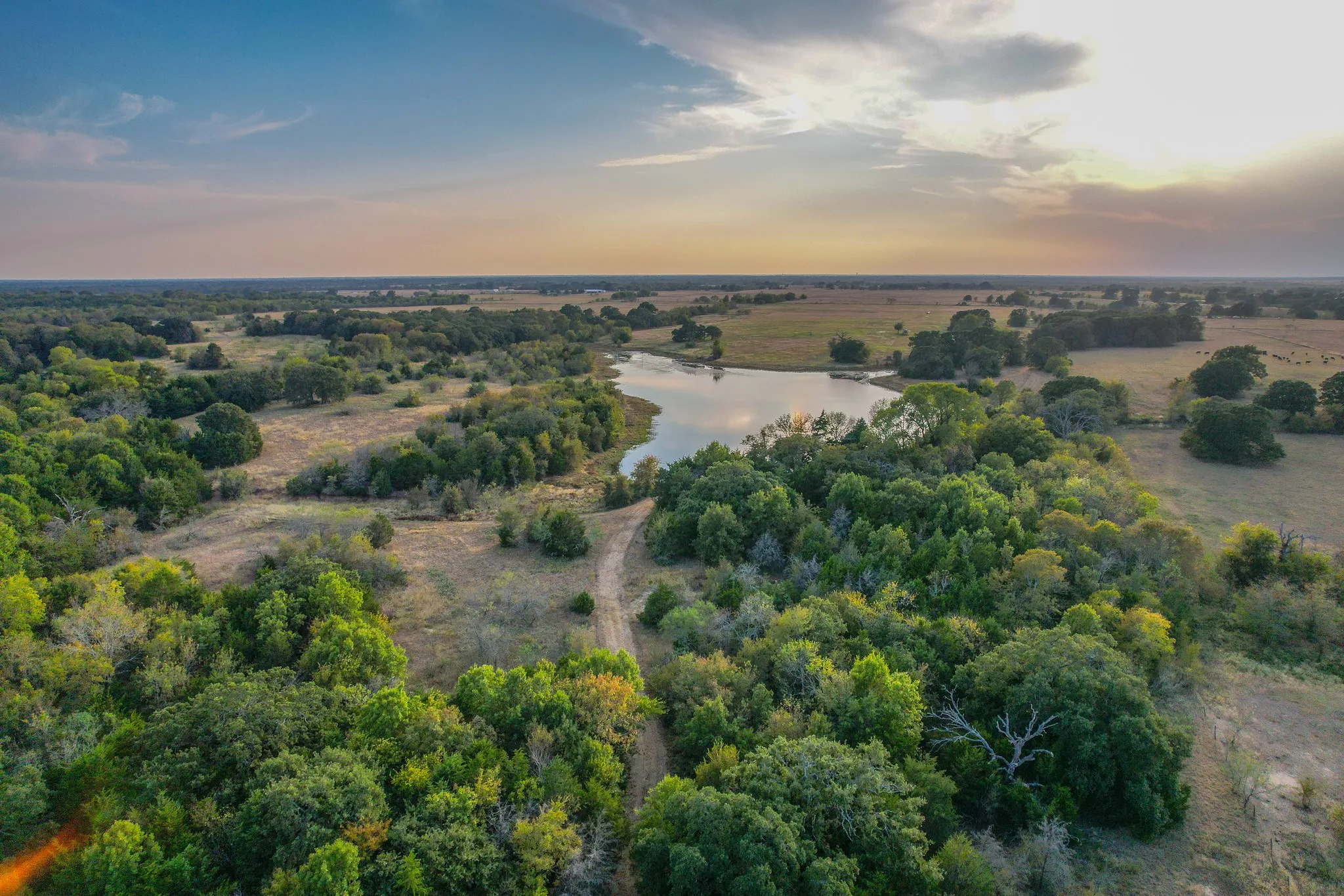 Ranch For Sale in Navarro County , 0 NE 3130, Kerens, Texas 75144, 0, 0, Garage spaces, 0 Sqft, built in 0, Price $885,500, mls#21097043, Real Estate Agent in Kerens, Homes For Sale in Navarro county, Homes For Sale in Kerens, Realtor in Kerens Texas, Real Estate Brokerage Independent Realty Texas, Luminita Cordes Realtor