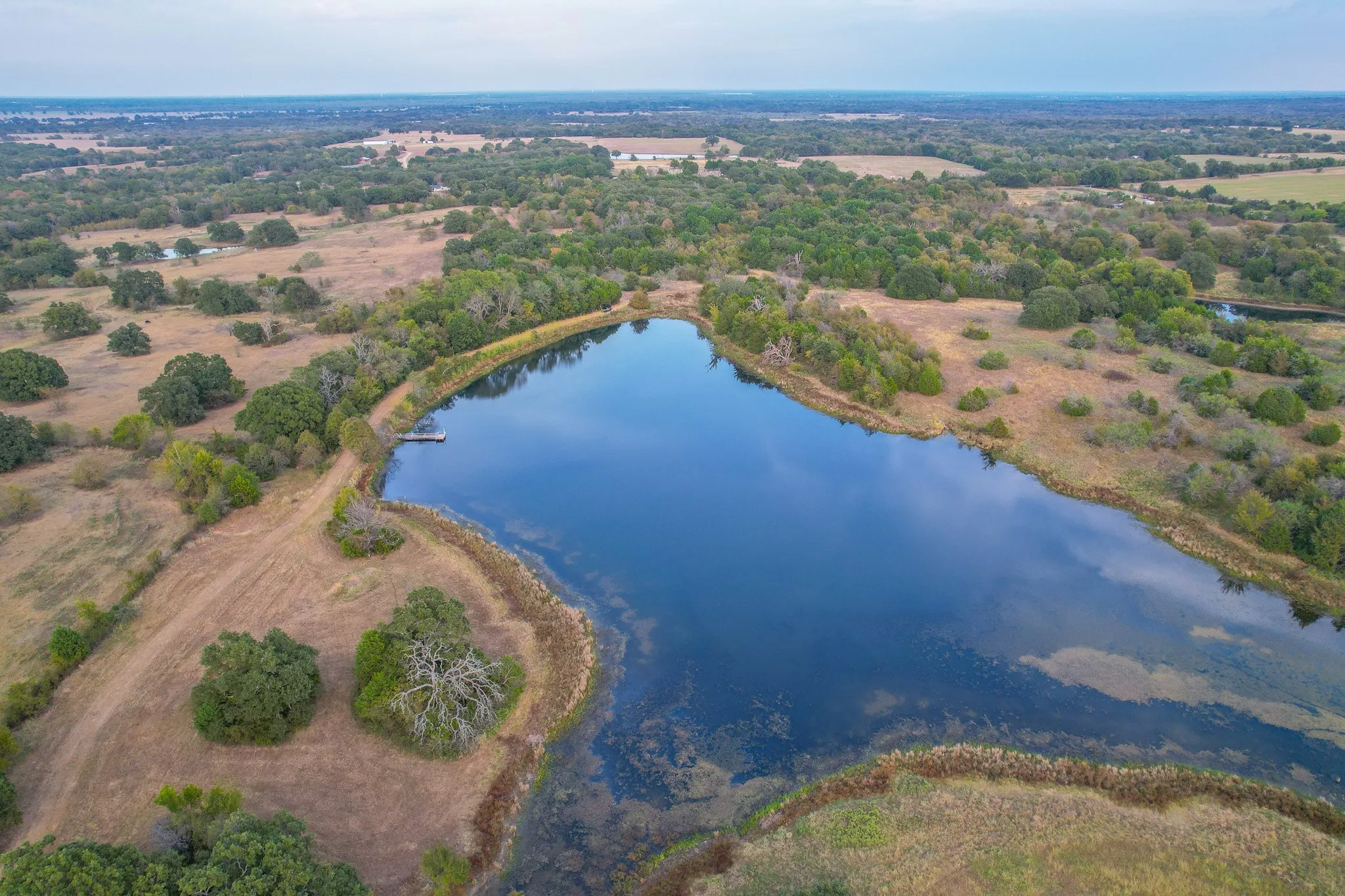 Ranch For Sale in Navarro County , 0 NE 3130, Kerens, Texas 75144, 0, 0, Garage spaces, 0 Sqft, built in 0, Price $885,500, mls#21097043, Real Estate Agent in Kerens, Homes For Sale in Navarro county, Homes For Sale in Kerens, Realtor in Kerens Texas, Real Estate Brokerage Independent Realty Texas, Luminita Cordes Realtor