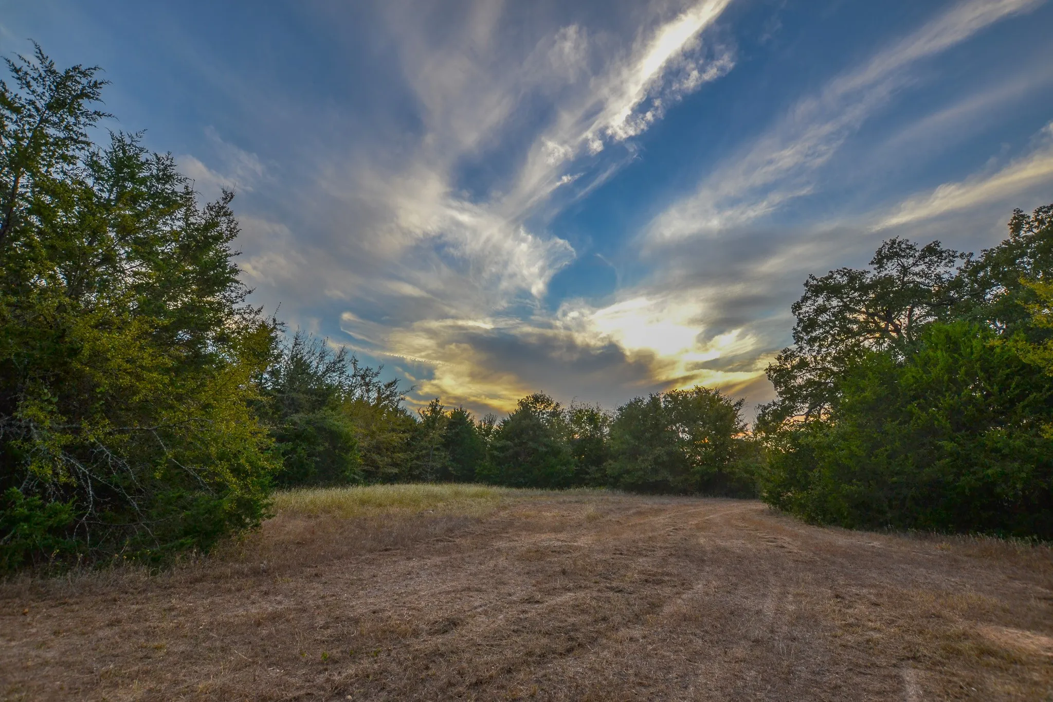 Ranch For Sale in Navarro County , 0 NE 3130, Kerens, Texas 75144, 0, 0, Garage spaces, 0 Sqft, built in 0, Price $885,500, mls#21097043, Real Estate Agent in Kerens, Homes For Sale in Navarro county, Homes For Sale in Kerens, Realtor in Kerens Texas, Real Estate Brokerage Independent Realty Texas, Luminita Cordes Realtor