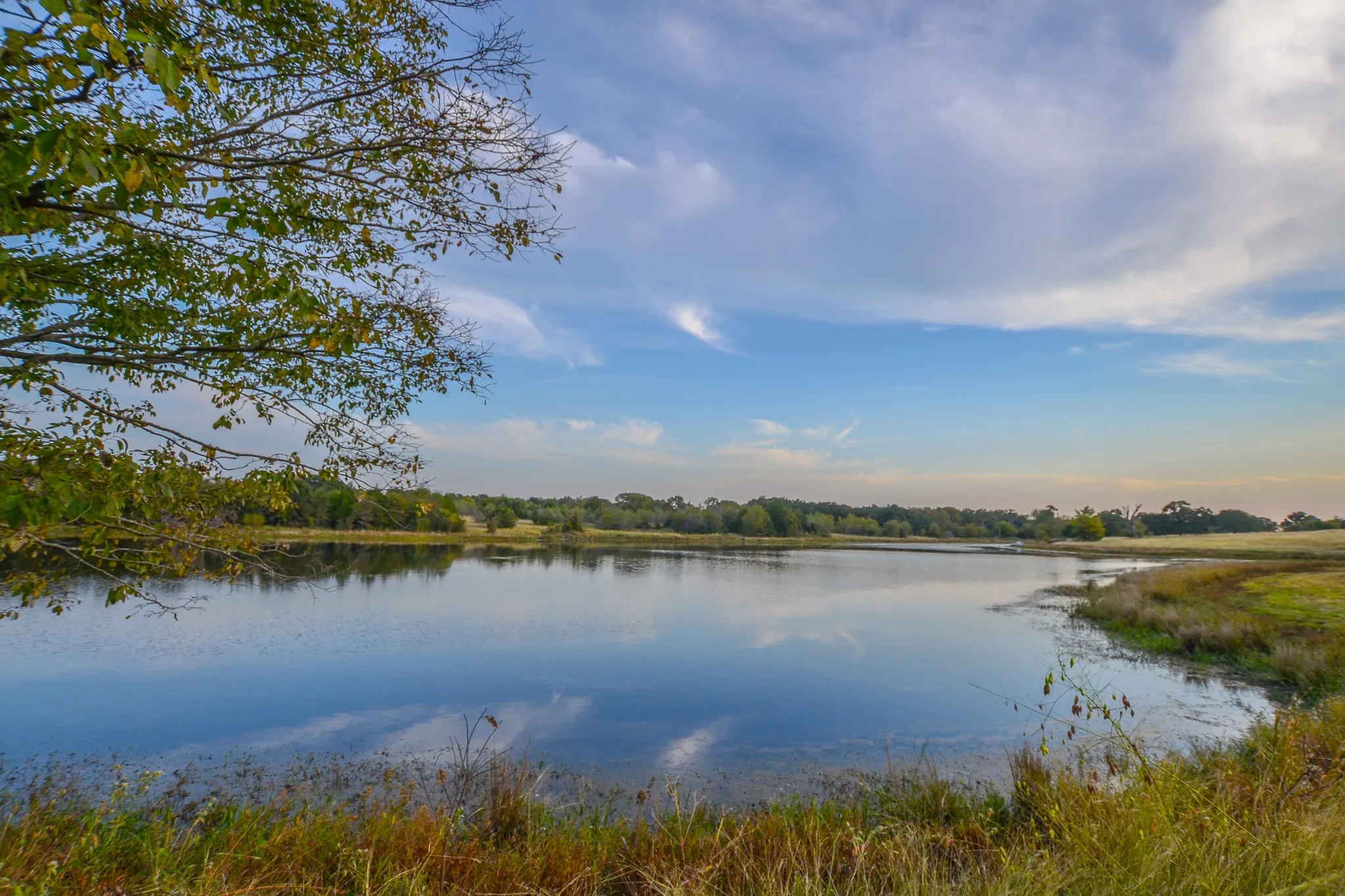 Ranch For Sale in Navarro County , 0 NE 3130, Kerens, Texas 75144, 0, 0, Garage spaces, 0 Sqft, built in 0, Price $885,500, mls#21097043, Real Estate Agent in Kerens, Homes For Sale in Navarro county, Homes For Sale in Kerens, Realtor in Kerens Texas, Real Estate Brokerage Independent Realty Texas, Luminita Cordes Realtor