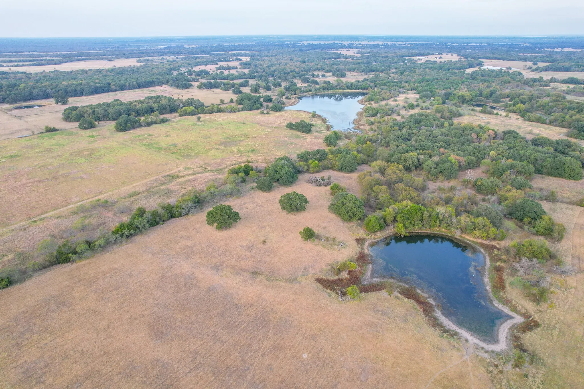 Ranch For Sale in Navarro County , 0 NE 3130, Kerens, Texas 75144, 0, 0, Garage spaces, 0 Sqft, built in 0, Price $885,500, mls#21097043, Real Estate Agent in Kerens, Homes For Sale in Navarro county, Homes For Sale in Kerens, Realtor in Kerens Texas, Real Estate Brokerage Independent Realty Texas, Luminita Cordes Realtor