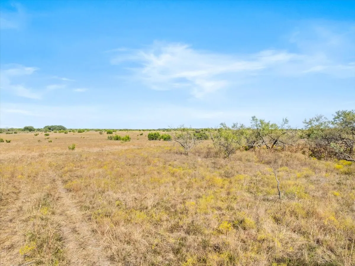 Ranch For Sale in Hamilton County , TBD-82.6 Acres Farm Market 221, Hamilton, Texas 76531, 0, 0, Garage spaces, 0 Sqft, built in 0, mls#21097133, Real Estate Agent in Hamilton, Homes For Sale in Hamilton county, Homes For Sale in Hamilton, Realtor in Hamilton Texas, Real Estate Brokerage Independent Realty Texas, Luminita Cordes Realtor