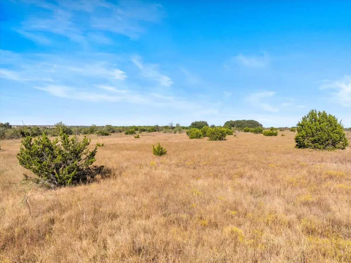 Ranch For Sale in Hamilton County , TBD-82.6 Acres Farm Market 221, Hamilton, Texas 76531, 0, 0, Garage spaces, 0 Sqft, built in 0, mls#21097133, Real Estate Agent in Hamilton, Homes For Sale in Hamilton county, Homes For Sale in Hamilton, Realtor in Hamilton Texas, Real Estate Brokerage Independent Realty Texas, Luminita Cordes Realtor