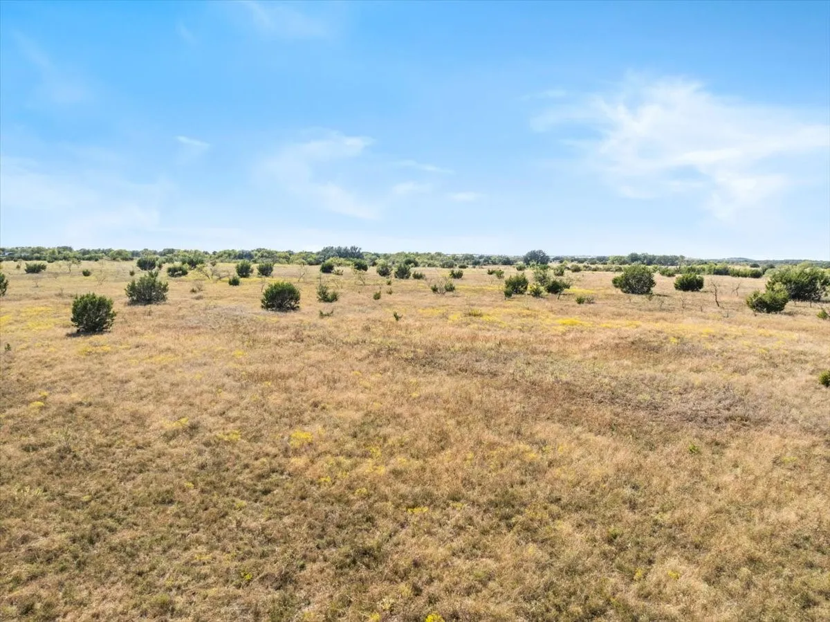 Ranch For Sale in Hamilton County , TBD-82.6 Acres Farm Market 221, Hamilton, Texas 76531, 0, 0, Garage spaces, 0 Sqft, built in 0, mls#21097133, Real Estate Agent in Hamilton, Homes For Sale in Hamilton county, Homes For Sale in Hamilton, Realtor in Hamilton Texas, Real Estate Brokerage Independent Realty Texas, Luminita Cordes Realtor