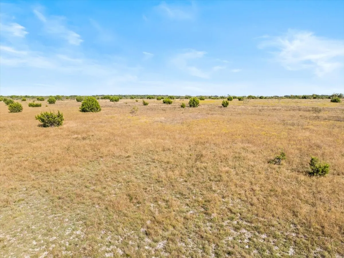 Ranch For Sale in Hamilton County , TBD-82.6 Acres Farm Market 221, Hamilton, Texas 76531, 0, 0, Garage spaces, 0 Sqft, built in 0, mls#21097133, Real Estate Agent in Hamilton, Homes For Sale in Hamilton county, Homes For Sale in Hamilton, Realtor in Hamilton Texas, Real Estate Brokerage Independent Realty Texas, Luminita Cordes Realtor