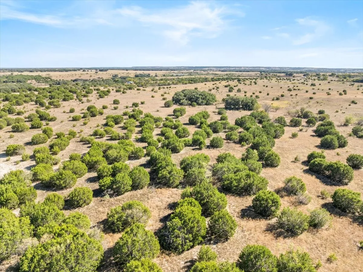Ranch For Sale in Hamilton County , TBD-82.6 Acres Farm Market 221, Hamilton, Texas 76531, 0, 0, Garage spaces, 0 Sqft, built in 0, mls#21097133, Real Estate Agent in Hamilton, Homes For Sale in Hamilton county, Homes For Sale in Hamilton, Realtor in Hamilton Texas, Real Estate Brokerage Independent Realty Texas, Luminita Cordes Realtor