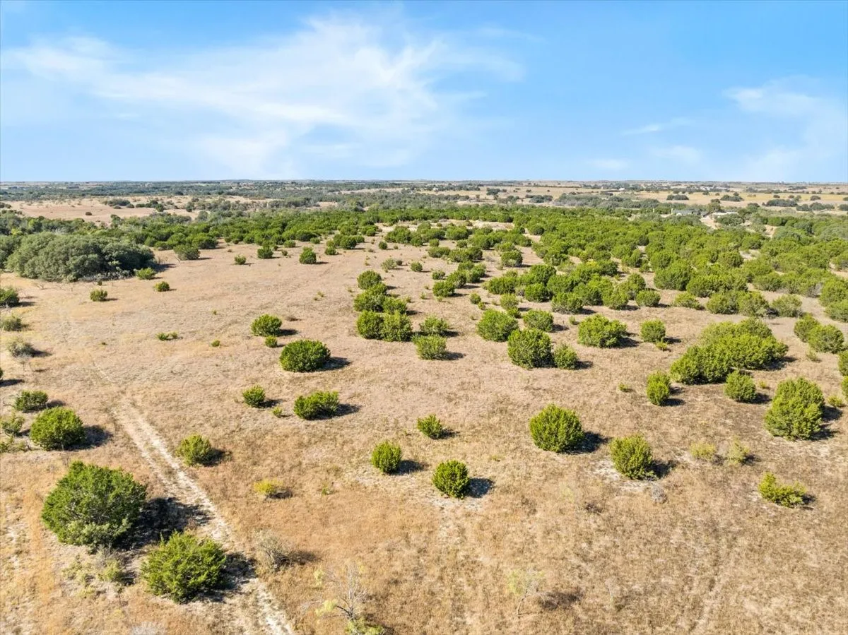 Ranch For Sale in Hamilton County , TBD-82.6 Acres Farm Market 221, Hamilton, Texas 76531, 0, 0, Garage spaces, 0 Sqft, built in 0, mls#21097133, Real Estate Agent in Hamilton, Homes For Sale in Hamilton county, Homes For Sale in Hamilton, Realtor in Hamilton Texas, Real Estate Brokerage Independent Realty Texas, Luminita Cordes Realtor