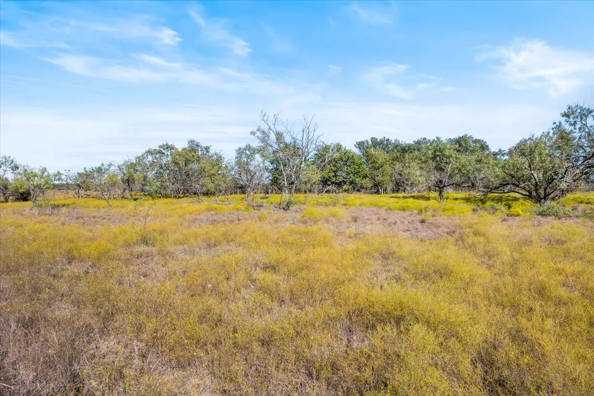 Ranch For Sale in Hamilton County , TBD-82.6 Acres Farm Market 221, Hamilton, Texas 76531, 0, 0, Garage spaces, 0 Sqft, built in 0, mls#21097133, Real Estate Agent in Hamilton, Homes For Sale in Hamilton county, Homes For Sale in Hamilton, Realtor in Hamilton Texas, Real Estate Brokerage Independent Realty Texas, Luminita Cordes Realtor
