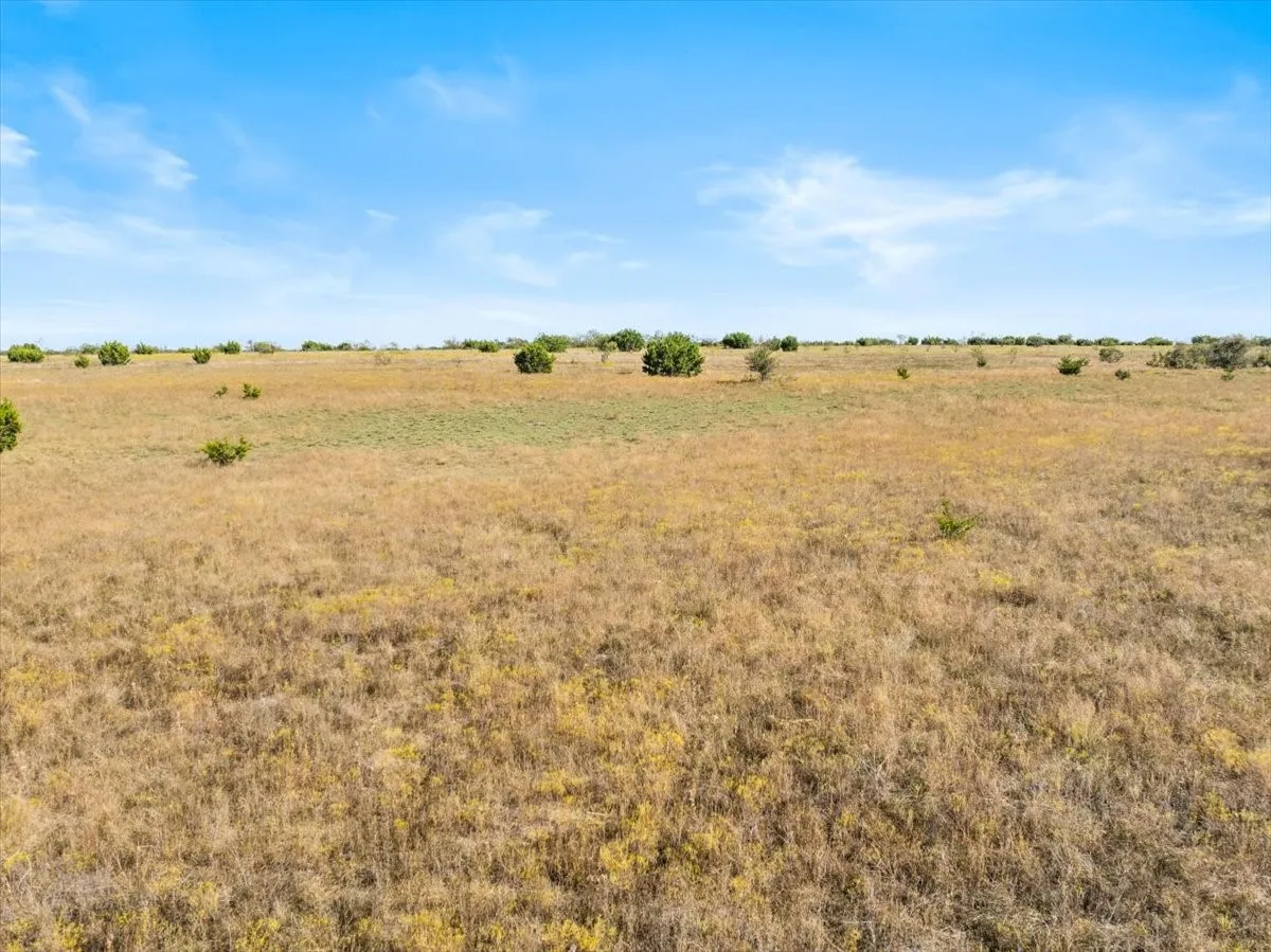 Ranch For Sale in Hamilton County , TBD-82.6 Acres Farm Market 221, Hamilton, Texas 76531, 0, 0, Garage spaces, 0 Sqft, built in 0, mls#21097133, Real Estate Agent in Hamilton, Homes For Sale in Hamilton county, Homes For Sale in Hamilton, Realtor in Hamilton Texas, Real Estate Brokerage Independent Realty Texas, Luminita Cordes Realtor