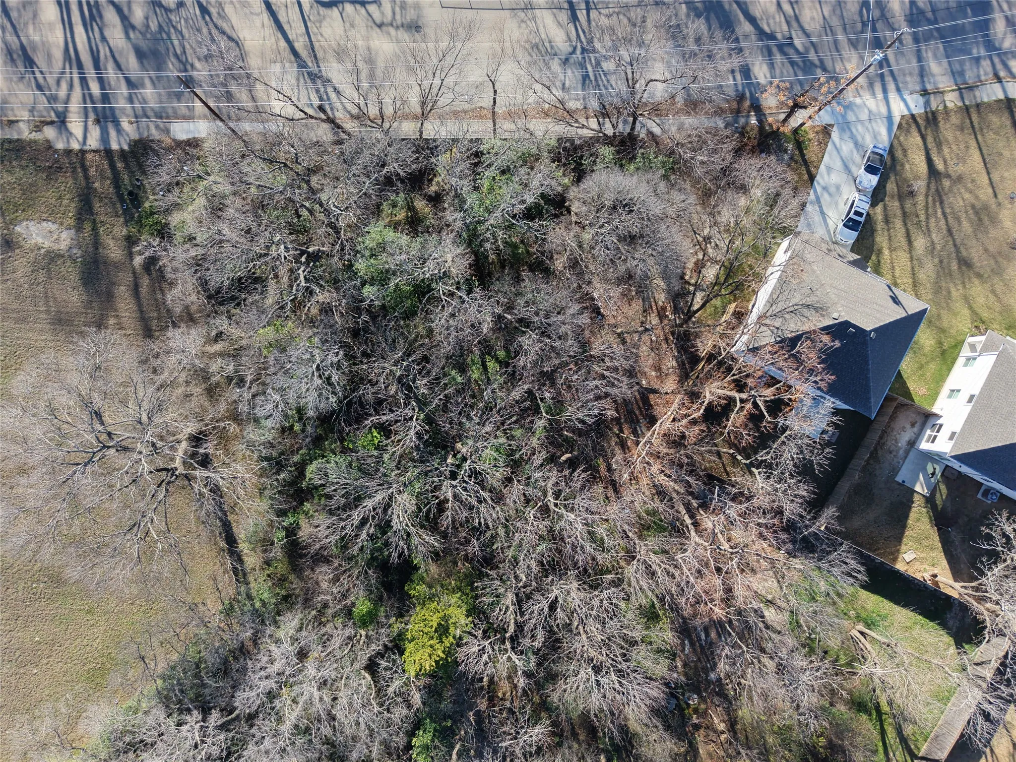 Bird's eye view of a tree filled landscape