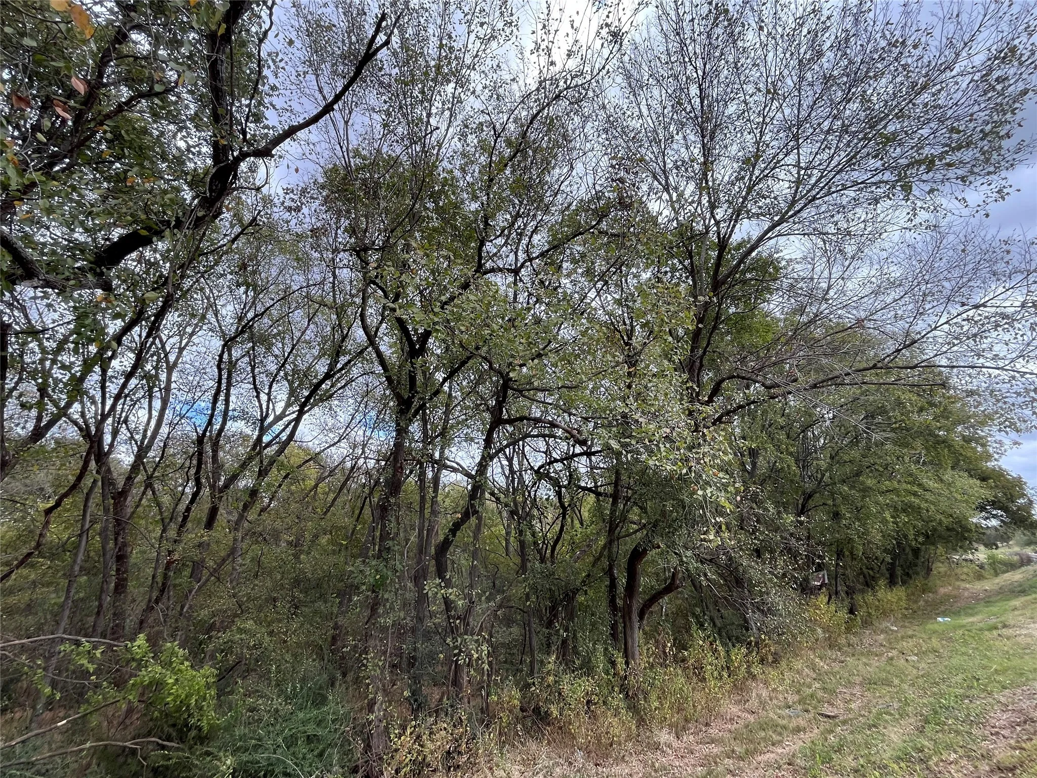 Unimproved Land For Sale in Johnson County , 6328 Fm 2738, Burleson, Texas 76028, 0, 0, Garage spaces, 0 Sqft, built in 0, mls#21097786, Real Estate Agent in Burleson, Homes For Sale in Johnson county, Homes For Sale in Burleson, Realtor in Burleson Texas, Real Estate Brokerage Independent Realty Texas, Luminita Cordes Realtor