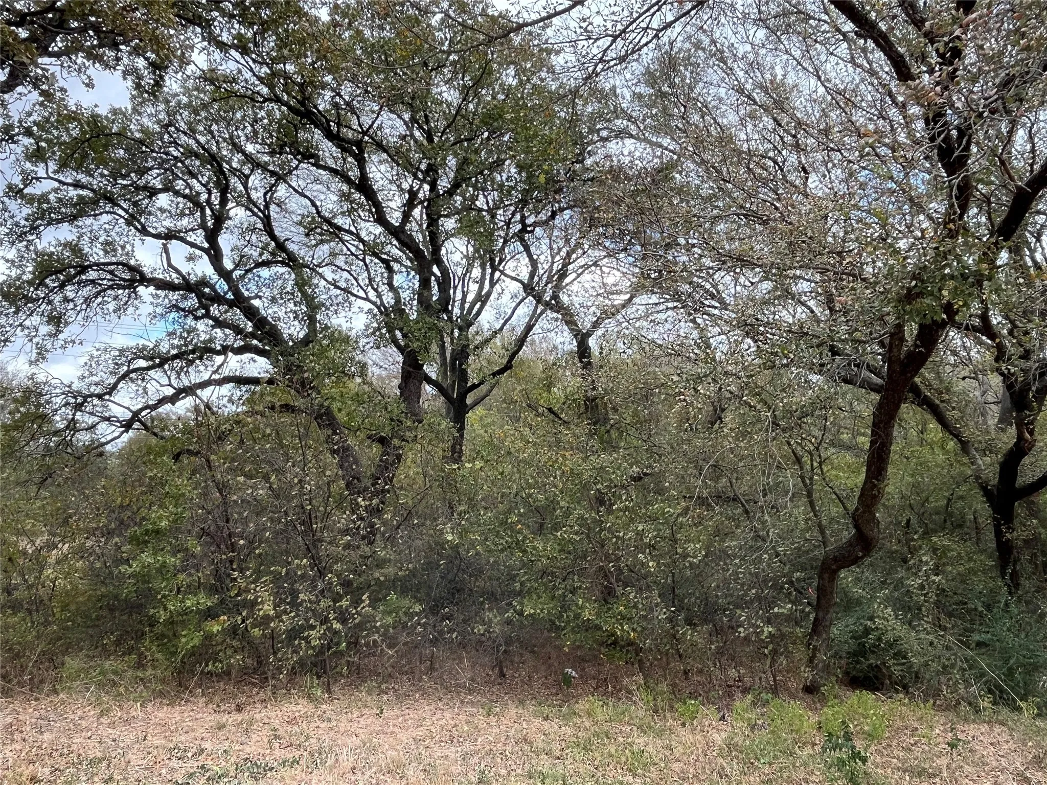 Unimproved Land For Sale in Johnson County , 6328 Fm 2738, Burleson, Texas 76028, 0, 0, Garage spaces, 0 Sqft, built in 0, mls#21097786, Real Estate Agent in Burleson, Homes For Sale in Johnson county, Homes For Sale in Burleson, Realtor in Burleson Texas, Real Estate Brokerage Independent Realty Texas, Luminita Cordes Realtor