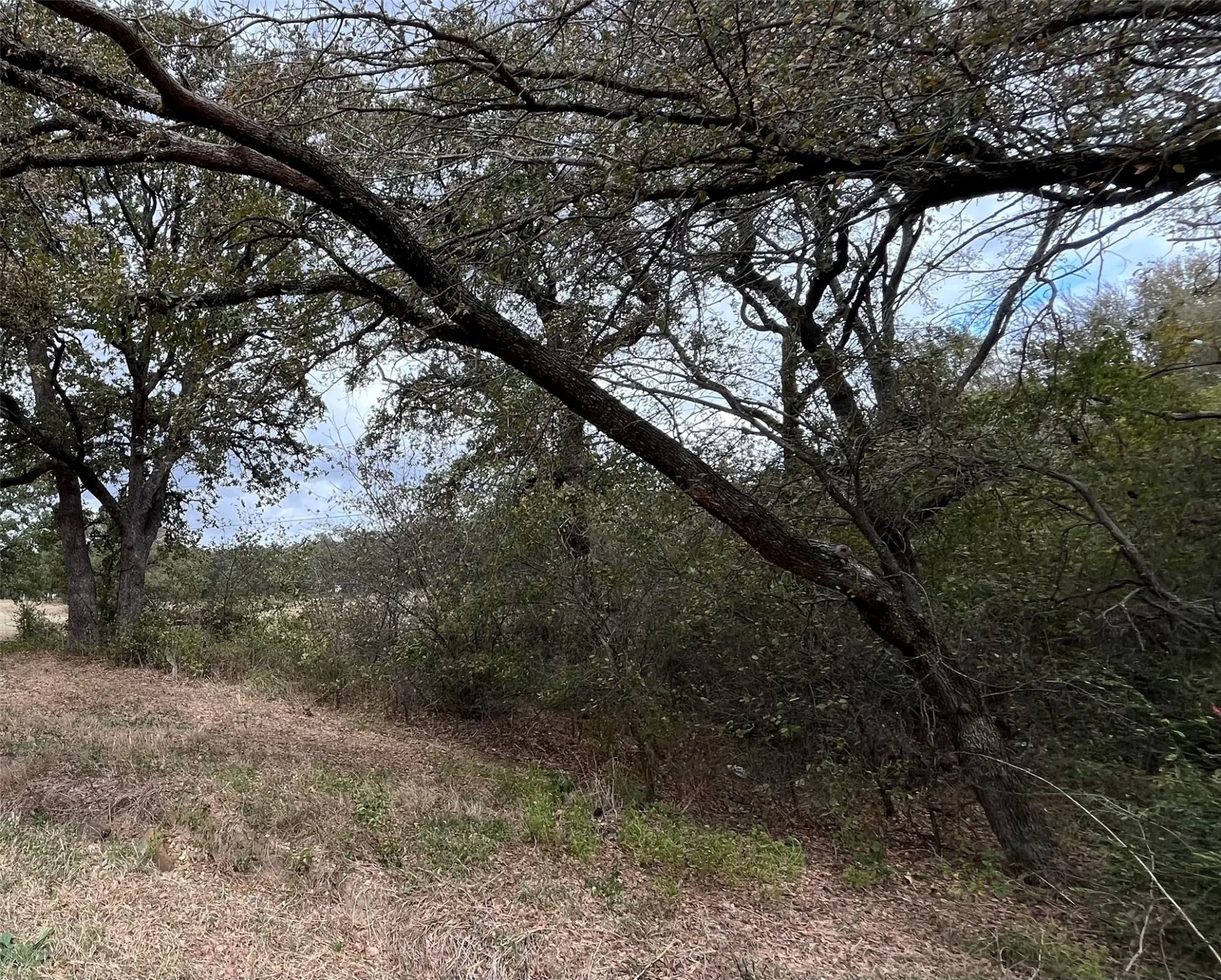 Unimproved Land For Sale in Johnson County , 6328 Fm 2738, Burleson, Texas 76028, 0, 0, Garage spaces, 0 Sqft, built in 0, mls#21097786, Real Estate Agent in Burleson, Homes For Sale in Johnson county, Homes For Sale in Burleson, Realtor in Burleson Texas, Real Estate Brokerage Independent Realty Texas, Luminita Cordes Realtor