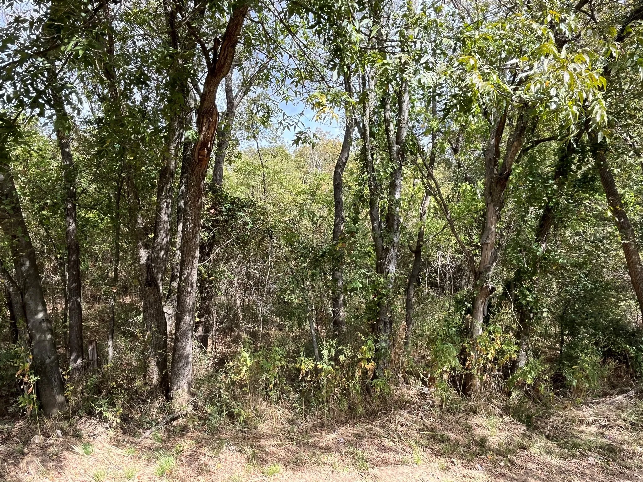 Unimproved Land For Sale in Johnson County , 6328 Fm 2738, Burleson, Texas 76028, 0, 0, Garage spaces, 0 Sqft, built in 0, mls#21097786, Real Estate Agent in Burleson, Homes For Sale in Johnson county, Homes For Sale in Burleson, Realtor in Burleson Texas, Real Estate Brokerage Independent Realty Texas, Luminita Cordes Realtor