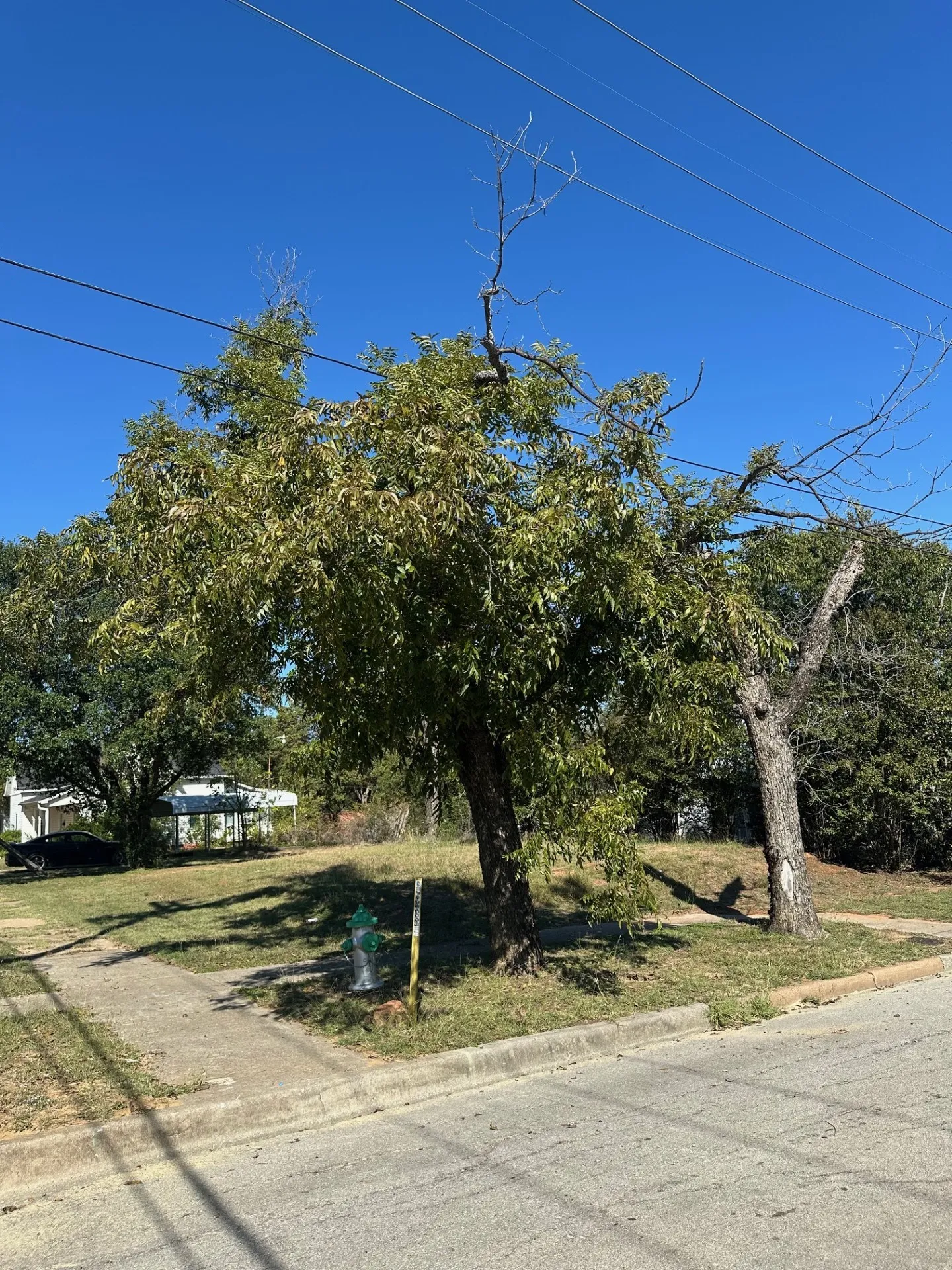 Improved Land For Sale in Palo Pinto County , 511 SW 5th Avenue, Mineral Wells, Texas 76067, 0, 0, Garage spaces, 0 Sqft, built in 0, Price $26,000, mls#21097857, Real Estate Agent in Mineral Wells, Homes For Sale in Palo Pinto county, Homes For Sale in Mineral Wells, Realtor in Mineral Wells Texas, Real Estate Brokerage Independent Realty Texas, Luminita Cordes Realtor
