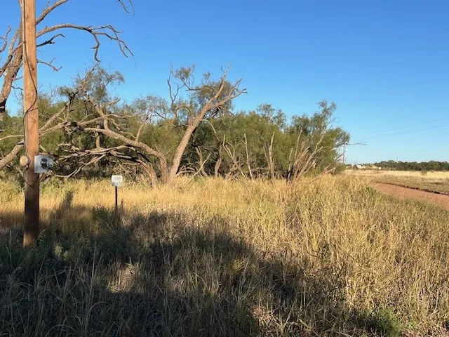 Unimproved Land For Sale in Fisher County , TBD FM 1224, Roby, Texas 79543, 0, 0, Garage spaces, 0 Sqft, built in 0, Price $20,000, mls#21098240, Real Estate Agent in Roby, Homes For Sale in Fisher county, Homes For Sale in Roby, Realtor in Roby Texas, Real Estate Brokerage Independent Realty Texas, Luminita Cordes Realtor