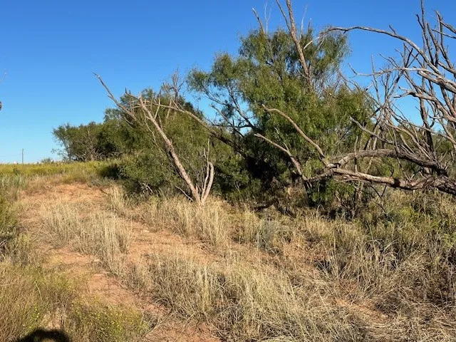 Unimproved Land For Sale in Fisher County , TBD FM 1224, Roby, Texas 79543, 0, 0, Garage spaces, 0 Sqft, built in 0, Price $20,000, mls#21098240, Real Estate Agent in Roby, Homes For Sale in Fisher county, Homes For Sale in Roby, Realtor in Roby Texas, Real Estate Brokerage Independent Realty Texas, Luminita Cordes Realtor