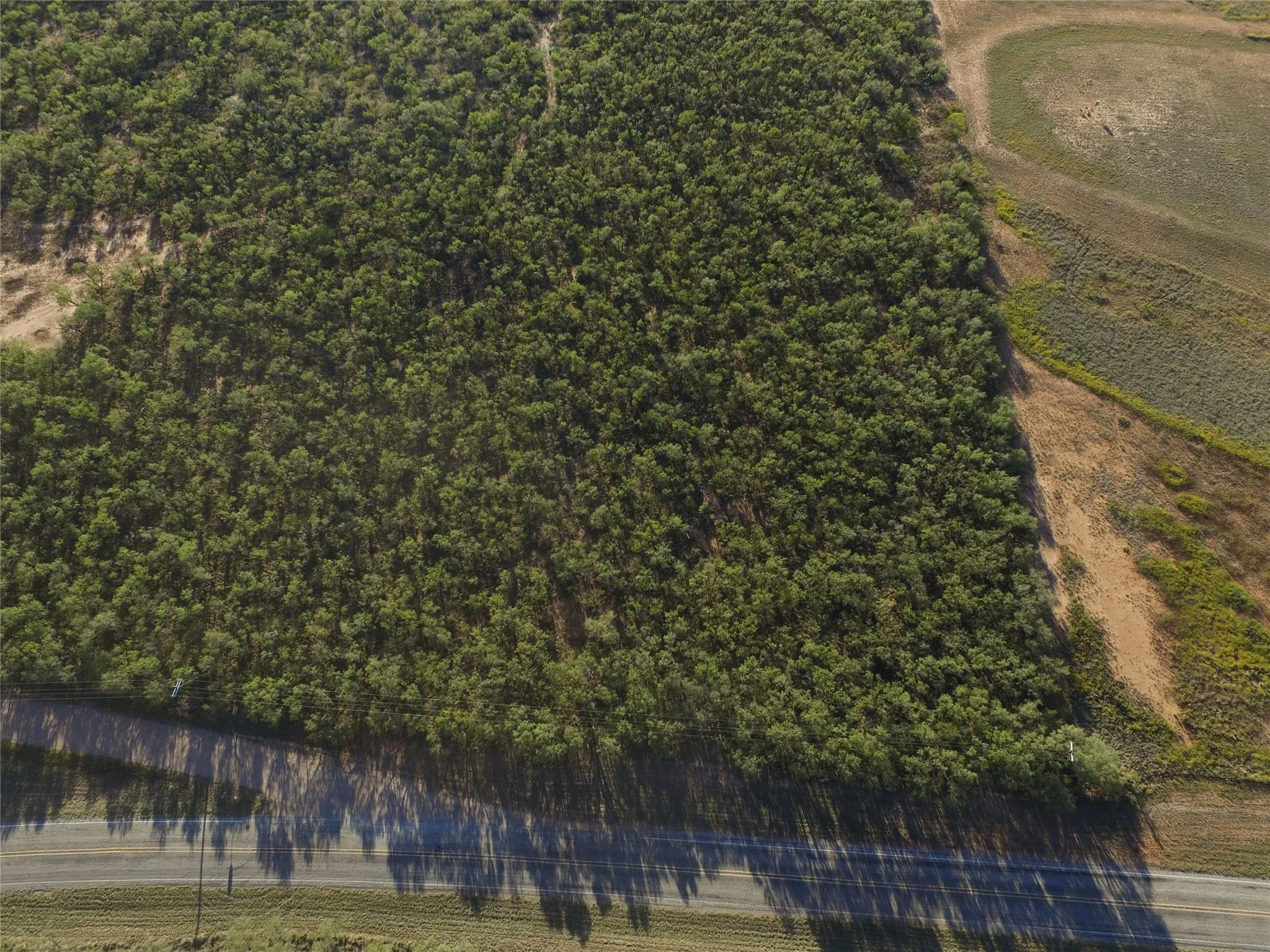 Unimproved Land For Sale in Fisher County , TBD FM 1224, Roby, Texas 79543, 0, 0, Garage spaces, 0 Sqft, built in 0, Price $20,000, mls#21098240, Real Estate Agent in Roby, Homes For Sale in Fisher county, Homes For Sale in Roby, Realtor in Roby Texas, Real Estate Brokerage Independent Realty Texas, Luminita Cordes Realtor