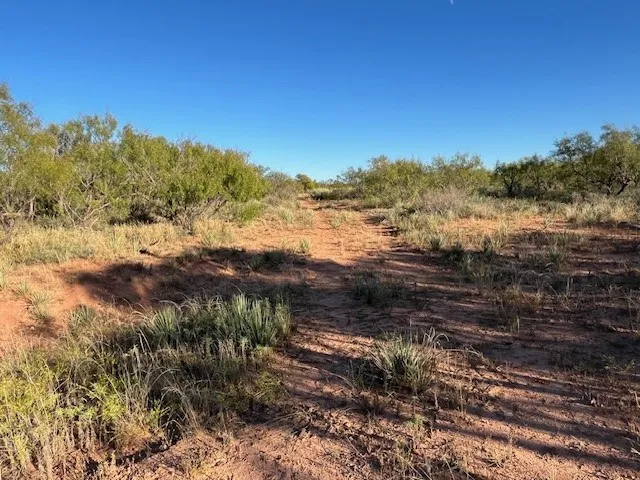 Unimproved Land For Sale in Fisher County , TBD FM 1224, Roby, Texas 79543, 0, 0, Garage spaces, 0 Sqft, built in 0, Price $20,000, mls#21098240, Real Estate Agent in Roby, Homes For Sale in Fisher county, Homes For Sale in Roby, Realtor in Roby Texas, Real Estate Brokerage Independent Realty Texas, Luminita Cordes Realtor