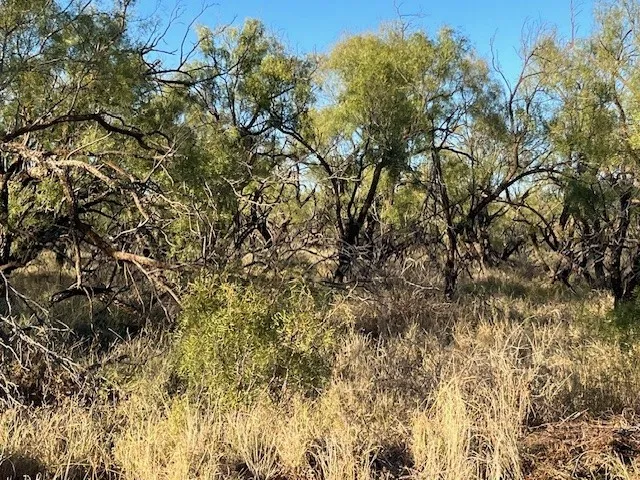 Unimproved Land For Sale in Fisher County , TBD FM 1224, Roby, Texas 79543, 0, 0, Garage spaces, 0 Sqft, built in 0, Price $20,000, mls#21098240, Real Estate Agent in Roby, Homes For Sale in Fisher county, Homes For Sale in Roby, Realtor in Roby Texas, Real Estate Brokerage Independent Realty Texas, Luminita Cordes Realtor