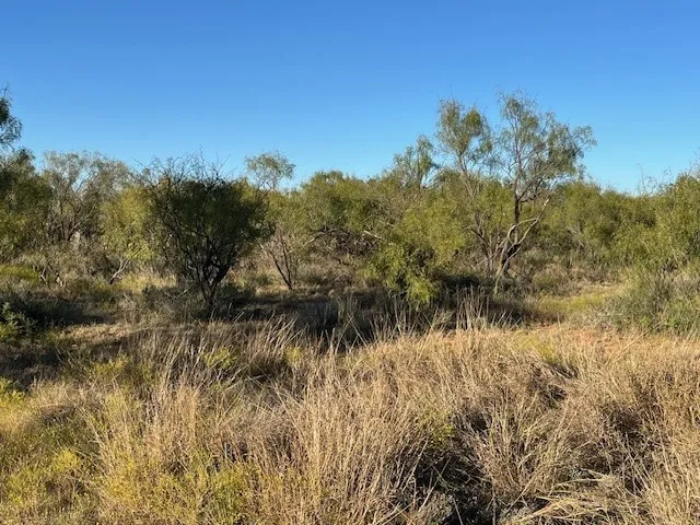 Unimproved Land For Sale in Fisher County , TBD FM 1224, Roby, Texas 79543, 0, 0, Garage spaces, 0 Sqft, built in 0, Price $20,000, mls#21098240, Real Estate Agent in Roby, Homes For Sale in Fisher county, Homes For Sale in Roby, Realtor in Roby Texas, Real Estate Brokerage Independent Realty Texas, Luminita Cordes Realtor