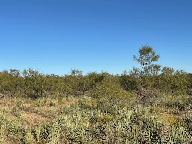 Unimproved Land For Sale in Fisher County , TBD FM 1224, Roby, Texas 79543, 0, 0, Garage spaces, 0 Sqft, built in 0, Price $20,000, mls#21098240, Real Estate Agent in Roby, Homes For Sale in Fisher county, Homes For Sale in Roby, Realtor in Roby Texas, Real Estate Brokerage Independent Realty Texas, Luminita Cordes Realtor