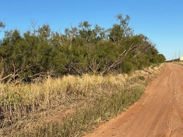 Unimproved Land For Sale in Fisher County , TBD FM 1224, Roby, Texas 79543, 0, 0, Garage spaces, 0 Sqft, built in 0, Price $20,000, mls#21098240, Real Estate Agent in Roby, Homes For Sale in Fisher county, Homes For Sale in Roby, Realtor in Roby Texas, Real Estate Brokerage Independent Realty Texas, Luminita Cordes Realtor