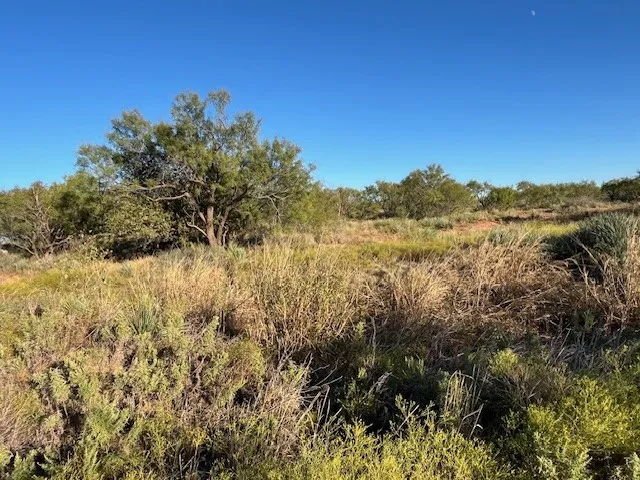 Unimproved Land For Sale in Fisher County , TBD FM 1224, Roby, Texas 79543, 0, 0, Garage spaces, 0 Sqft, built in 0, Price $20,000, mls#21098240, Real Estate Agent in Roby, Homes For Sale in Fisher county, Homes For Sale in Roby, Realtor in Roby Texas, Real Estate Brokerage Independent Realty Texas, Luminita Cordes Realtor