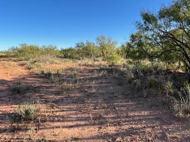 Unimproved Land For Sale in Fisher County , TBD FM 1224, Roby, Texas 79543, 0, 0, Garage spaces, 0 Sqft, built in 0, Price $20,000, mls#21098240, Real Estate Agent in Roby, Homes For Sale in Fisher county, Homes For Sale in Roby, Realtor in Roby Texas, Real Estate Brokerage Independent Realty Texas, Luminita Cordes Realtor