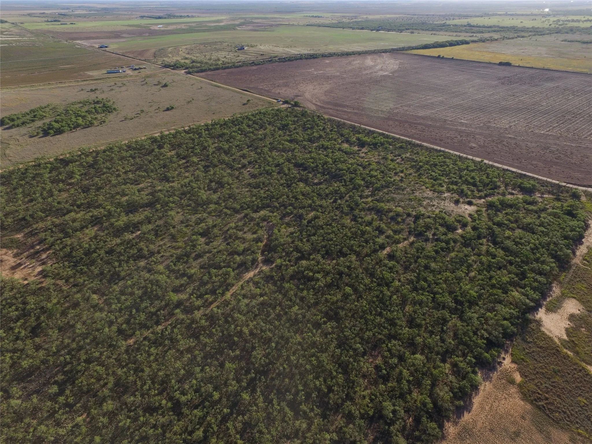Unimproved Land For Sale in Fisher County , TBD FM 1224, Roby, Texas 79543, 0, 0, Garage spaces, 0 Sqft, built in 0, Price $20,000, mls#21098240, Real Estate Agent in Roby, Homes For Sale in Fisher county, Homes For Sale in Roby, Realtor in Roby Texas, Real Estate Brokerage Independent Realty Texas, Luminita Cordes Realtor
