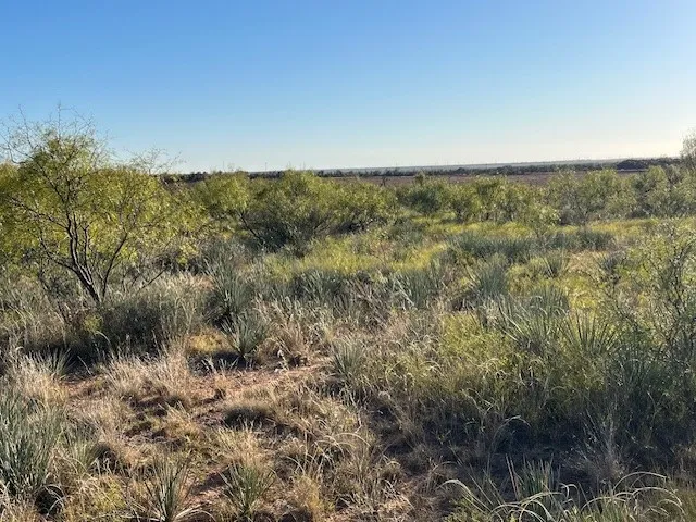Unimproved Land For Sale in Fisher County , TBD FM 1224, Roby, Texas 79543, 0, 0, Garage spaces, 0 Sqft, built in 0, Price $20,000, mls#21098240, Real Estate Agent in Roby, Homes For Sale in Fisher county, Homes For Sale in Roby, Realtor in Roby Texas, Real Estate Brokerage Independent Realty Texas, Luminita Cordes Realtor