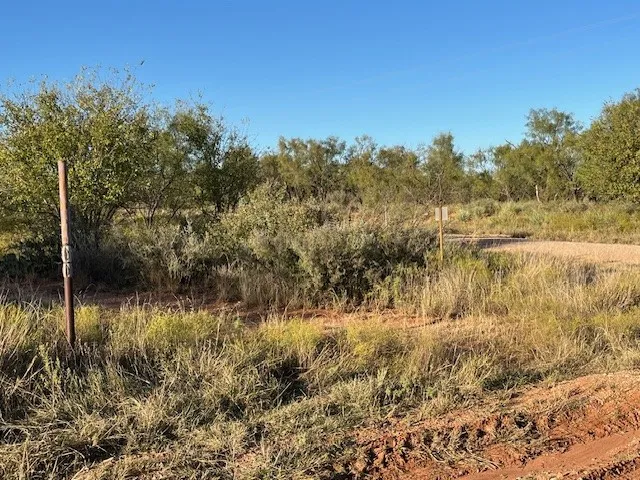 Unimproved Land For Sale in Fisher County , TBD FM 1224, Roby, Texas 79543, 0, 0, Garage spaces, 0 Sqft, built in 0, Price $20,000, mls#21098240, Real Estate Agent in Roby, Homes For Sale in Fisher county, Homes For Sale in Roby, Realtor in Roby Texas, Real Estate Brokerage Independent Realty Texas, Luminita Cordes Realtor