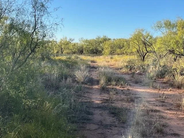 Unimproved Land For Sale in Fisher County , TBD FM 1224, Roby, Texas 79543, 0, 0, Garage spaces, 0 Sqft, built in 0, Price $20,000, mls#21098240, Real Estate Agent in Roby, Homes For Sale in Fisher county, Homes For Sale in Roby, Realtor in Roby Texas, Real Estate Brokerage Independent Realty Texas, Luminita Cordes Realtor