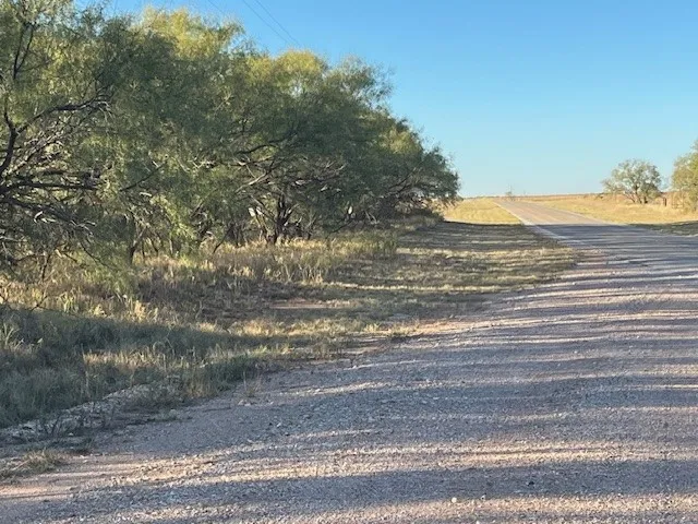 Unimproved Land For Sale in Fisher County , TBD FM 1224, Roby, Texas 79543, 0, 0, Garage spaces, 0 Sqft, built in 0, Price $20,000, mls#21098240, Real Estate Agent in Roby, Homes For Sale in Fisher county, Homes For Sale in Roby, Realtor in Roby Texas, Real Estate Brokerage Independent Realty Texas, Luminita Cordes Realtor