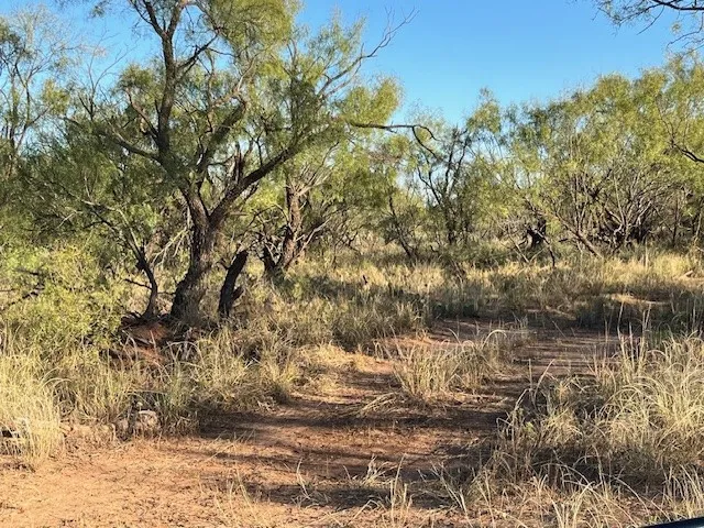 Unimproved Land For Sale in Fisher County , TBD FM 1224, Roby, Texas 79543, 0, 0, Garage spaces, 0 Sqft, built in 0, Price $20,000, mls#21098240, Real Estate Agent in Roby, Homes For Sale in Fisher county, Homes For Sale in Roby, Realtor in Roby Texas, Real Estate Brokerage Independent Realty Texas, Luminita Cordes Realtor