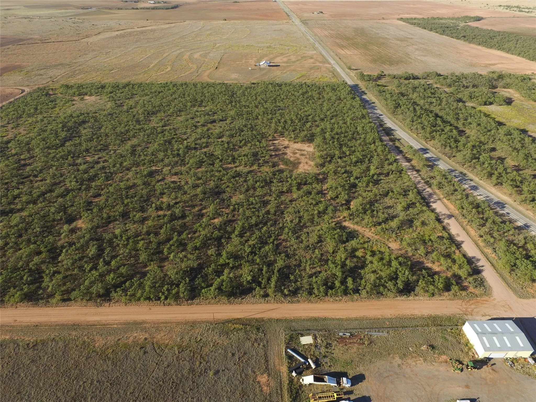 Unimproved Land For Sale in Fisher County , TBD FM 1224, Roby, Texas 79543, 0, 0, Garage spaces, 0 Sqft, built in 0, Price $20,000, mls#21098240, Real Estate Agent in Roby, Homes For Sale in Fisher county, Homes For Sale in Roby, Realtor in Roby Texas, Real Estate Brokerage Independent Realty Texas, Luminita Cordes Realtor