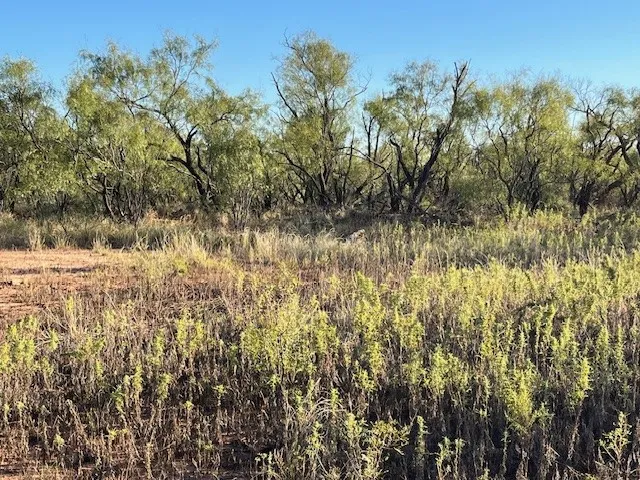 Unimproved Land For Sale in Fisher County , TBD FM 1224, Roby, Texas 79543, 0, 0, Garage spaces, 0 Sqft, built in 0, Price $20,000, mls#21098240, Real Estate Agent in Roby, Homes For Sale in Fisher county, Homes For Sale in Roby, Realtor in Roby Texas, Real Estate Brokerage Independent Realty Texas, Luminita Cordes Realtor