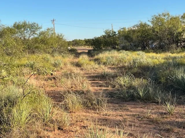 Unimproved Land For Sale in Fisher County , TBD FM 1224, Roby, Texas 79543, 0, 0, Garage spaces, 0 Sqft, built in 0, Price $20,000, mls#21098240, Real Estate Agent in Roby, Homes For Sale in Fisher county, Homes For Sale in Roby, Realtor in Roby Texas, Real Estate Brokerage Independent Realty Texas, Luminita Cordes Realtor