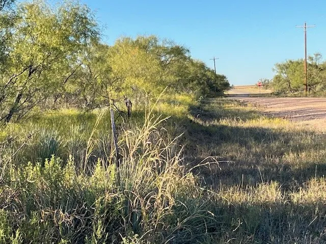 Unimproved Land For Sale in Fisher County , TBD FM 1224, Roby, Texas 79543, 0, 0, Garage spaces, 0 Sqft, built in 0, Price $20,000, mls#21098240, Real Estate Agent in Roby, Homes For Sale in Fisher county, Homes For Sale in Roby, Realtor in Roby Texas, Real Estate Brokerage Independent Realty Texas, Luminita Cordes Realtor