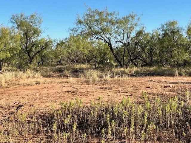 Unimproved Land For Sale in Fisher County , TBD FM 1224, Roby, Texas 79543, 0, 0, Garage spaces, 0 Sqft, built in 0, Price $20,000, mls#21098240, Real Estate Agent in Roby, Homes For Sale in Fisher county, Homes For Sale in Roby, Realtor in Roby Texas, Real Estate Brokerage Independent Realty Texas, Luminita Cordes Realtor