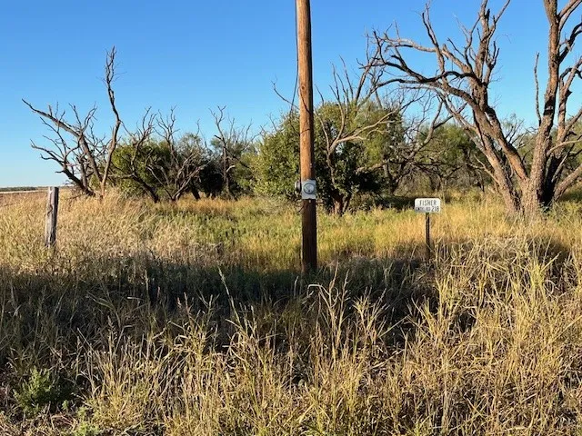 Unimproved Land For Sale in Fisher County , TBD FM 1224, Roby, Texas 79543, 0, 0, Garage spaces, 0 Sqft, built in 0, Price $20,000, mls#21098240, Real Estate Agent in Roby, Homes For Sale in Fisher county, Homes For Sale in Roby, Realtor in Roby Texas, Real Estate Brokerage Independent Realty Texas, Luminita Cordes Realtor