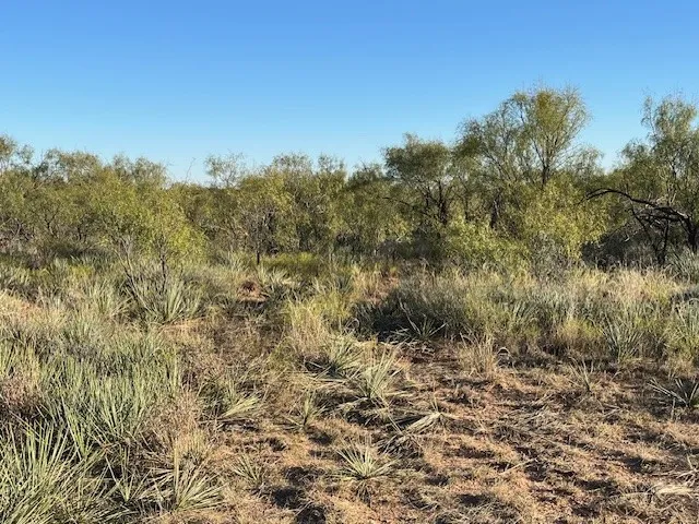 Unimproved Land For Sale in Fisher County , TBD FM 1224, Roby, Texas 79543, 0, 0, Garage spaces, 0 Sqft, built in 0, Price $20,000, mls#21098240, Real Estate Agent in Roby, Homes For Sale in Fisher county, Homes For Sale in Roby, Realtor in Roby Texas, Real Estate Brokerage Independent Realty Texas, Luminita Cordes Realtor
