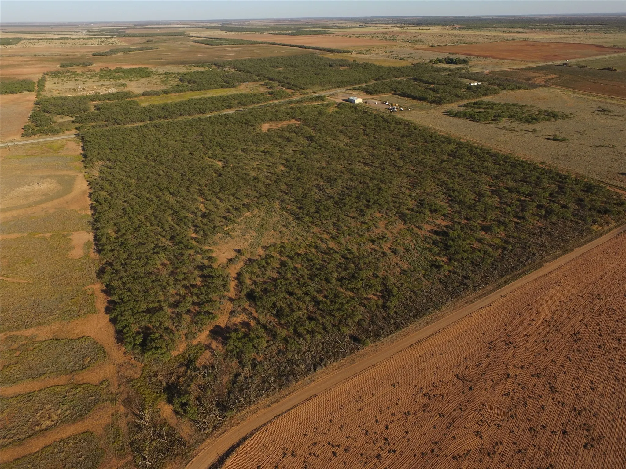 Unimproved Land For Sale in Fisher County , TBD FM 1224, Roby, Texas 79543, 0, 0, Garage spaces, 0 Sqft, built in 0, Price $20,000, mls#21098240, Real Estate Agent in Roby, Homes For Sale in Fisher county, Homes For Sale in Roby, Realtor in Roby Texas, Real Estate Brokerage Independent Realty Texas, Luminita Cordes Realtor