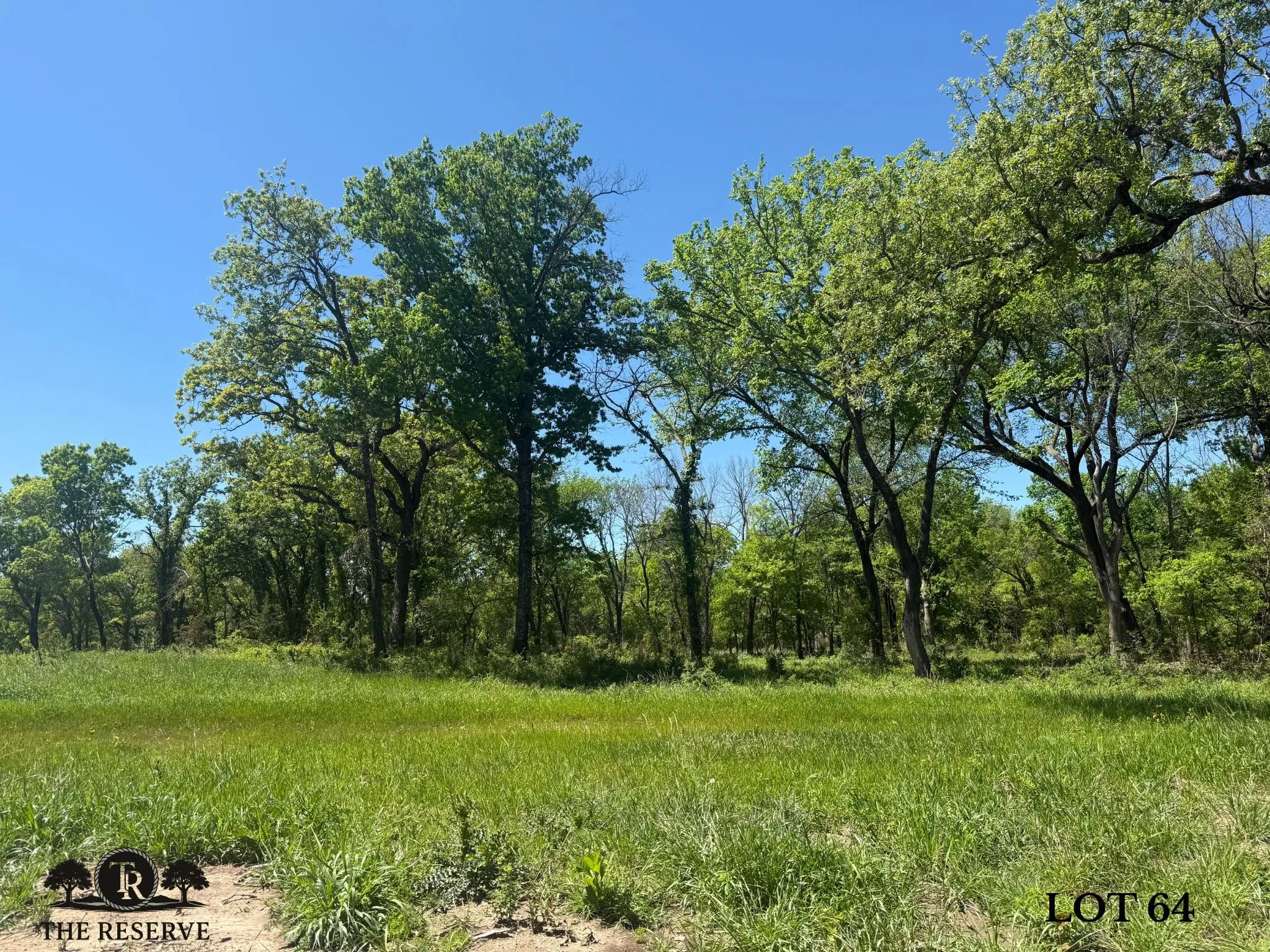 Unimproved Land For Sale in Parker County , Lot 64 Camden Lane, Springtown, Texas 76082, 0, 0, Garage spaces, 0 Sqft, built in 0, Price $92,000, mls#21098386, Real Estate Agent in Springtown, Homes For Sale in Parker county, Homes For Sale in Springtown, Realtor in Springtown Texas, Real Estate Brokerage Independent Realty Texas, Luminita Cordes Realtor