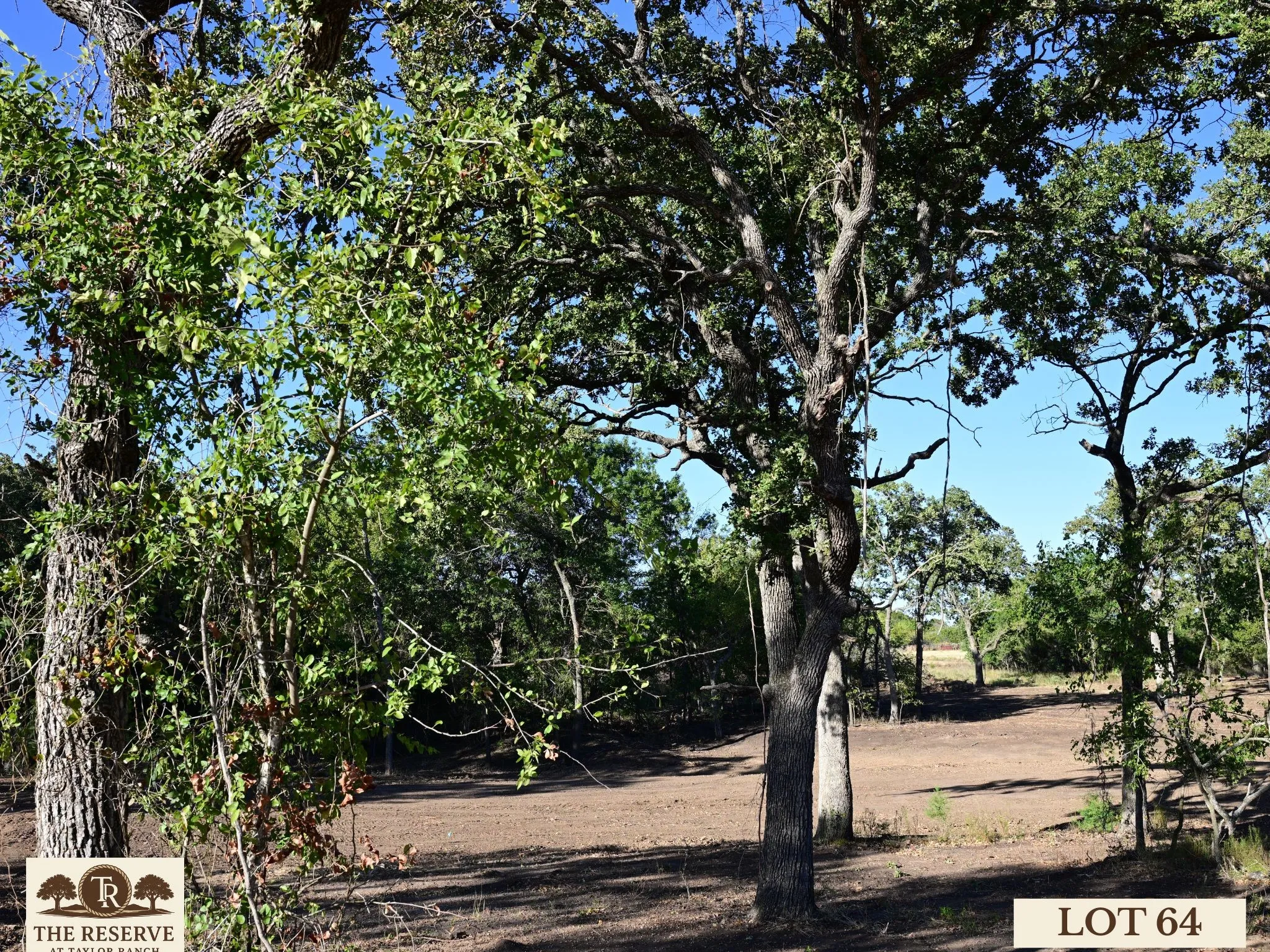 Unimproved Land For Sale in Parker County , Lot 64 Camden Lane, Springtown, Texas 76082, 0, 0, Garage spaces, 0 Sqft, built in 0, Price $92,000, mls#21098386, Real Estate Agent in Springtown, Homes For Sale in Parker county, Homes For Sale in Springtown, Realtor in Springtown Texas, Real Estate Brokerage Independent Realty Texas, Luminita Cordes Realtor