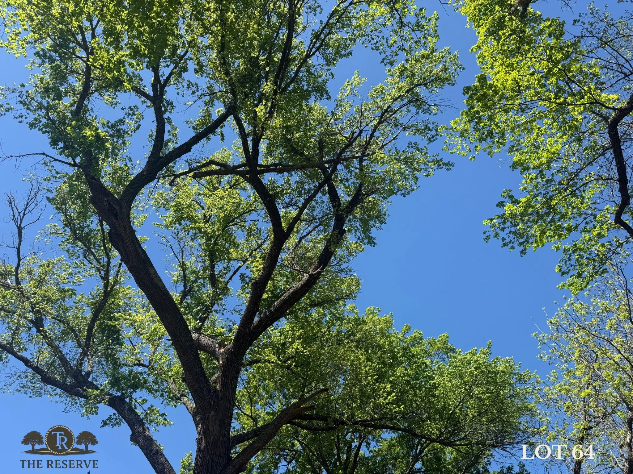 Unimproved Land For Sale in Parker County , Lot 64 Camden Lane, Springtown, Texas 76082, 0, 0, Garage spaces, 0 Sqft, built in 0, Price $92,000, mls#21098386, Real Estate Agent in Springtown, Homes For Sale in Parker county, Homes For Sale in Springtown, Realtor in Springtown Texas, Real Estate Brokerage Independent Realty Texas, Luminita Cordes Realtor
