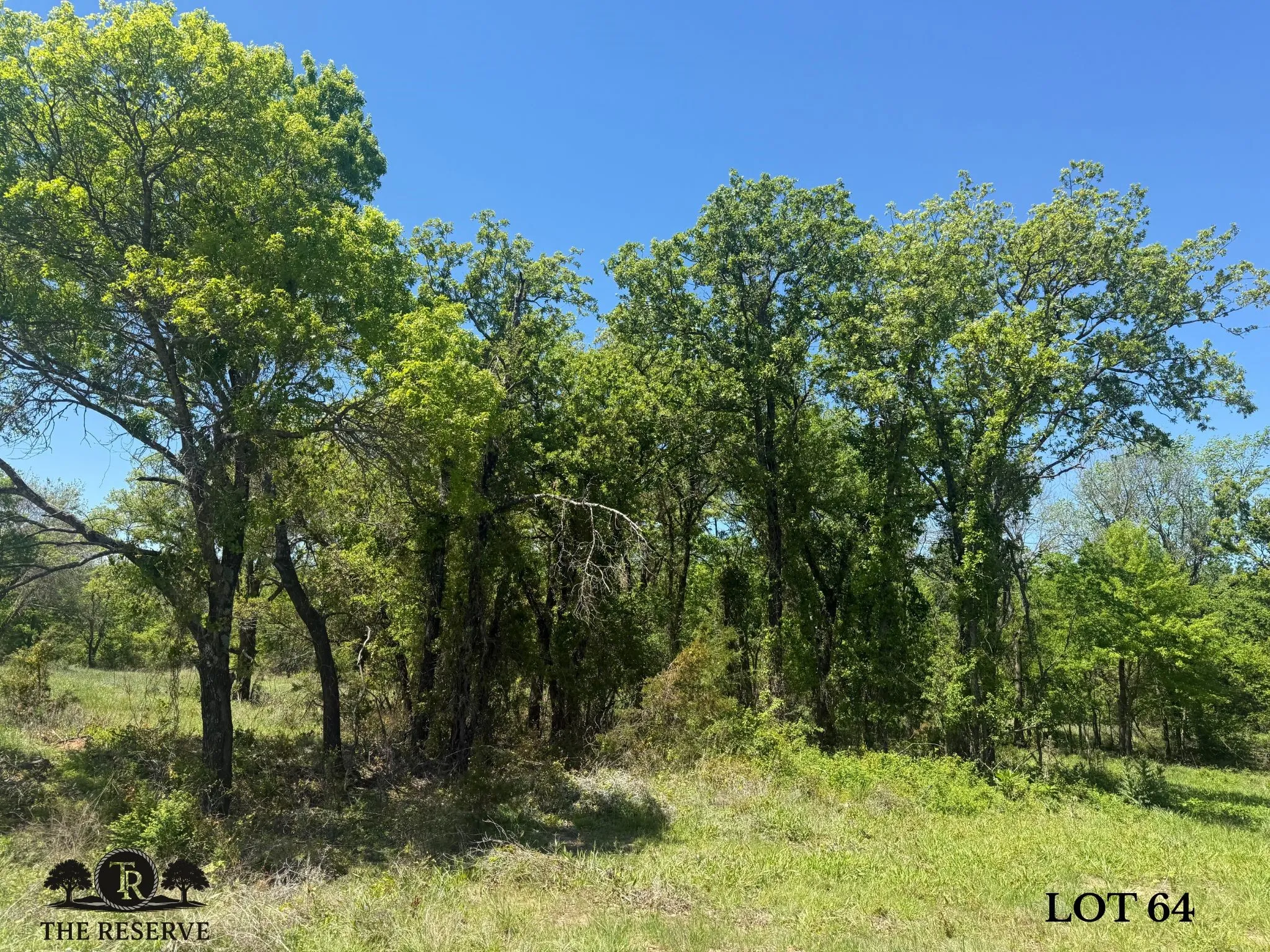 Unimproved Land For Sale in Parker County , Lot 64 Camden Lane, Springtown, Texas 76082, 0, 0, Garage spaces, 0 Sqft, built in 0, Price $92,000, mls#21098386, Real Estate Agent in Springtown, Homes For Sale in Parker county, Homes For Sale in Springtown, Realtor in Springtown Texas, Real Estate Brokerage Independent Realty Texas, Luminita Cordes Realtor