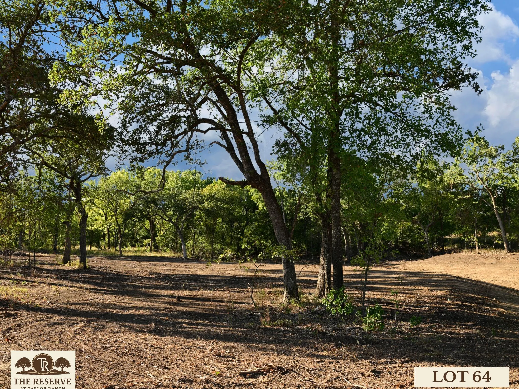 Unimproved Land For Sale in Parker County , Lot 64 Camden Lane, Springtown, Texas 76082, 0, 0, Garage spaces, 0 Sqft, built in 0, Price $92,000, mls#21098386, Real Estate Agent in Springtown, Homes For Sale in Parker county, Homes For Sale in Springtown, Realtor in Springtown Texas, Real Estate Brokerage Independent Realty Texas, Luminita Cordes Realtor